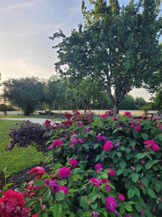 L'Atelier 7 Bed & Breakfast Saintes Bagian luar foto